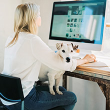 Woman working on computer with dog on lap